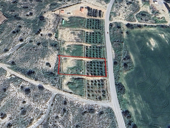 1 LAND MARONI 10392 1