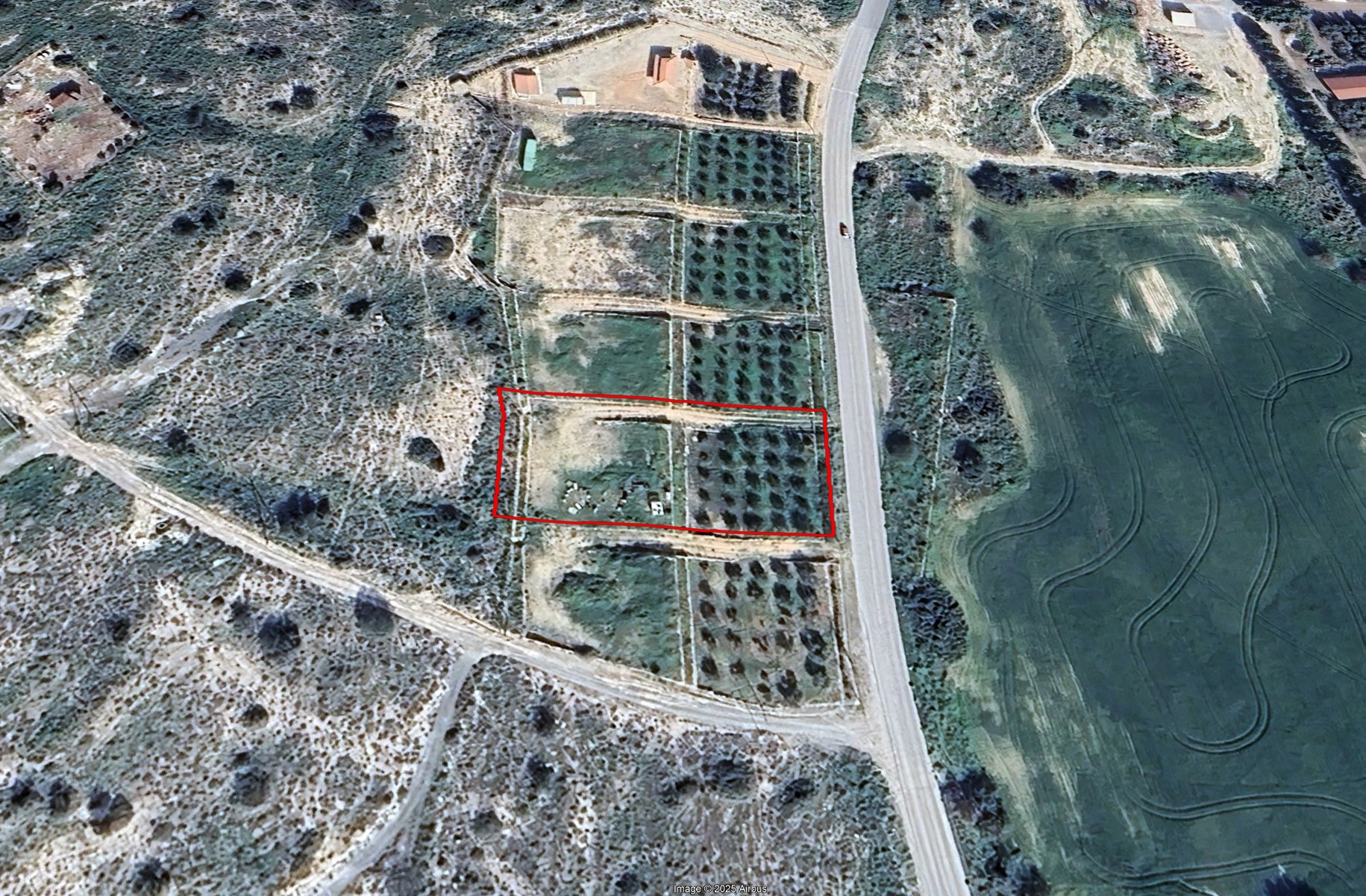 1 LAND MARONI 10392 1